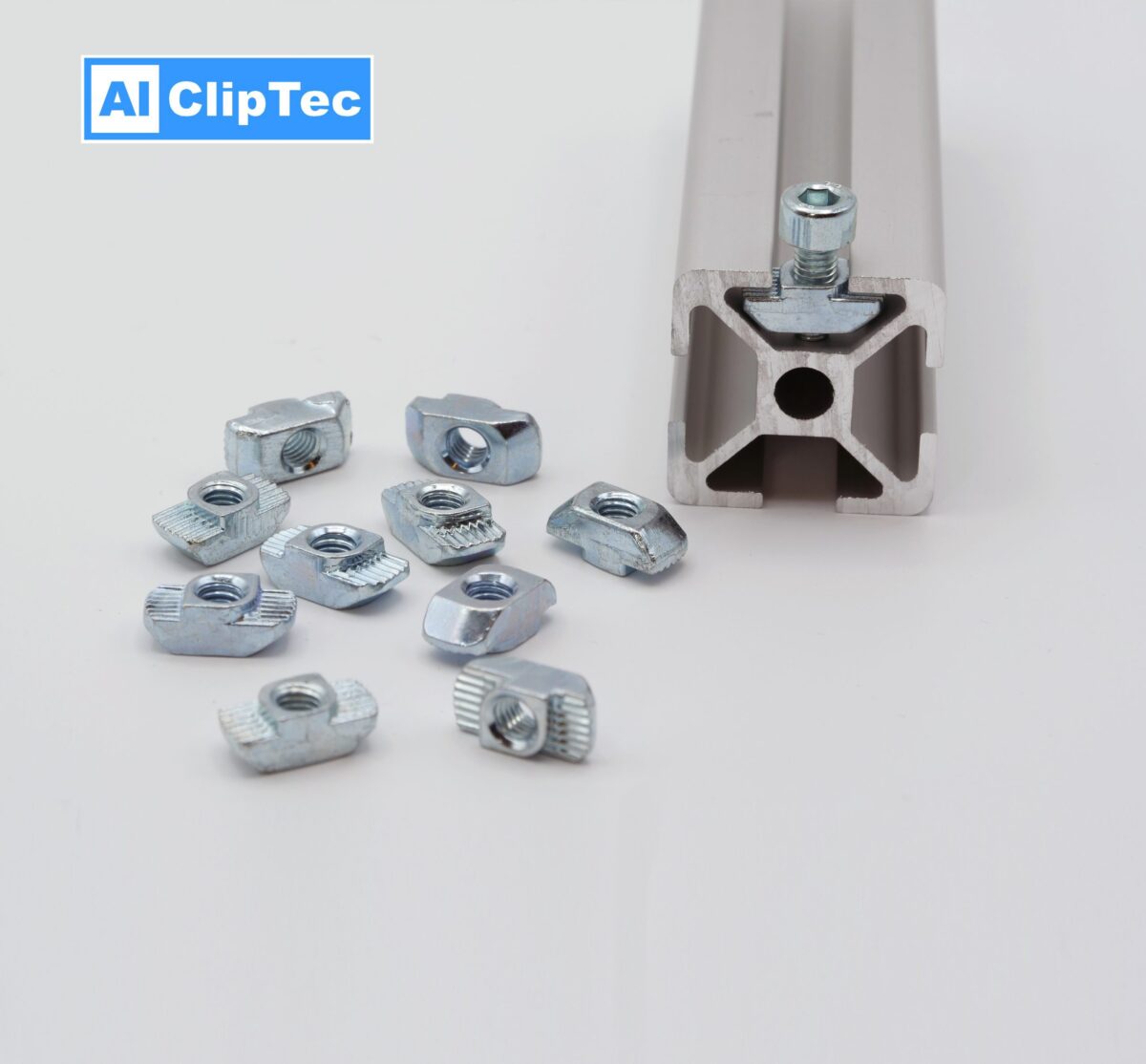 Nutensteine T-Nut - aluboerse